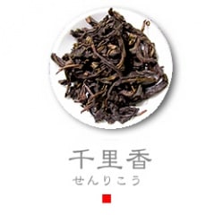 千里香(せんりこう) 50g